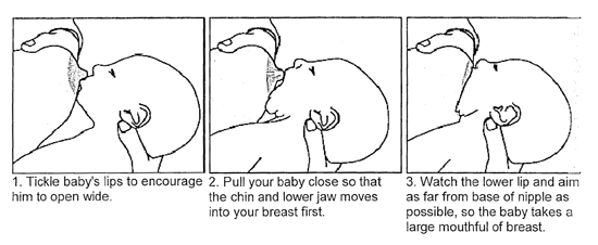 breastfeeding latching