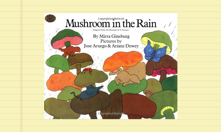 mushroom-in-the-rain-background