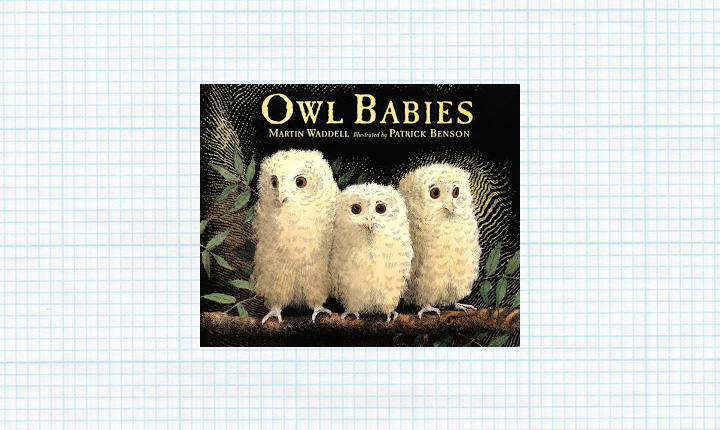 owl-babies-background